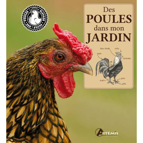 Livre Des Poules Dans Mon Jardin