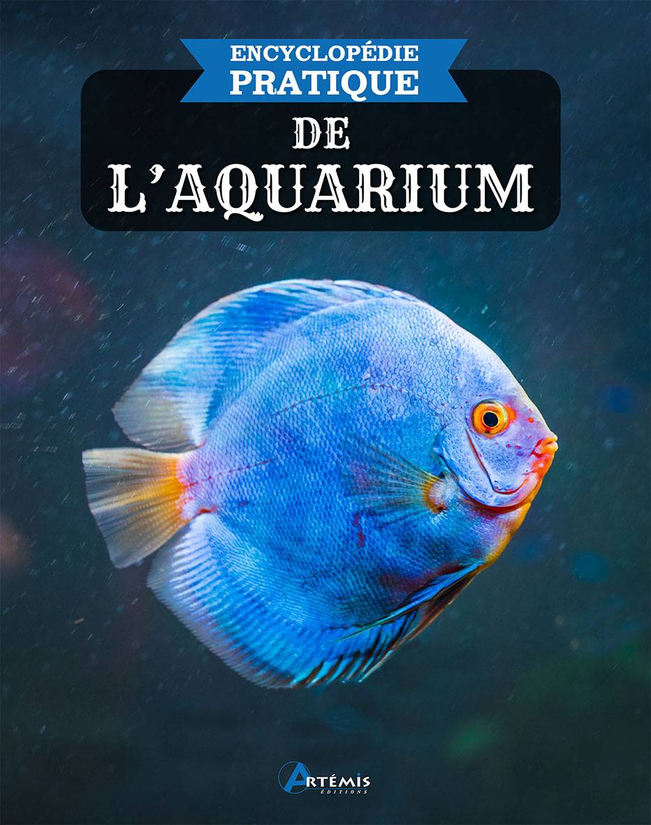 Poissons combattants - Livre Editions Ulmer - Guide Aquariophilie