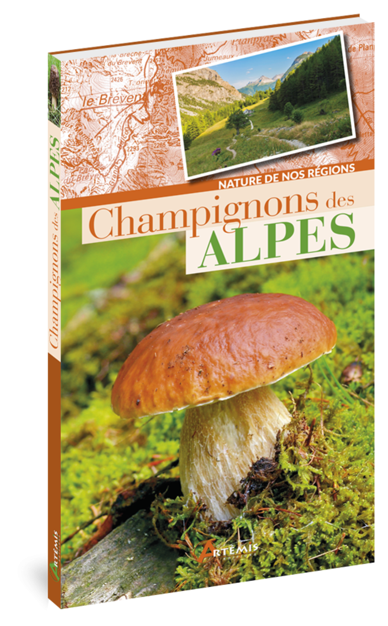 Champignons - Guide Nature