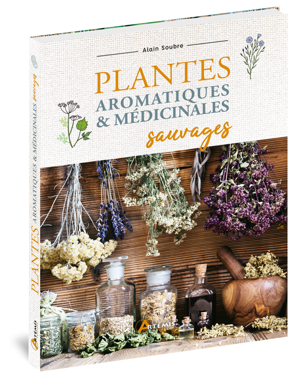 Herbes et plantes aromatiques, des saveurs vitaminées - Sciences et Avenir