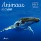 CALENDRIER ANIMAUX MARINS 2025