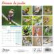 CALENDRIER OISEAUX DU JARDIN 2025