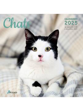 CALENDRIER CHATS 2025