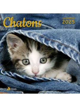 CALENDRIER CHATONS 2025