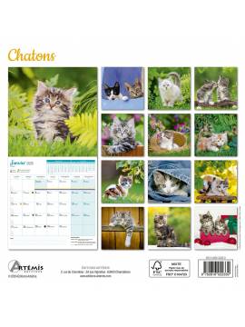 CALENDRIER CHATONS 2025