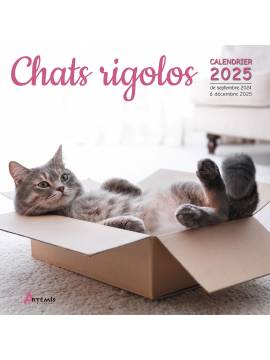 CALENDRIER CHATS RIGOLOS 2025