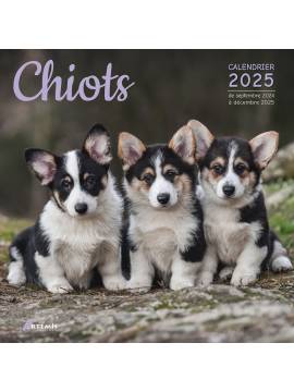 CALENDRIER CHIOTS 2025