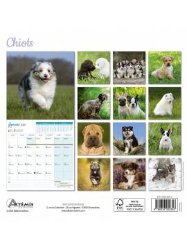 CALENDRIER CHIOTS 2025