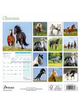 CALENDRIER CHEVAUX 2025