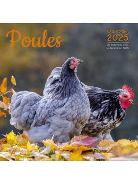 CALENDRIER POULES 2025