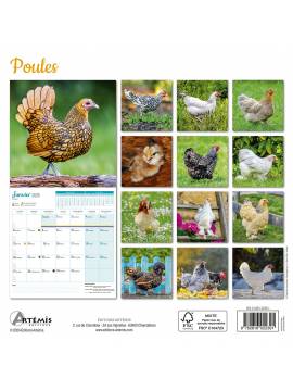 CALENDRIER POULES 2025