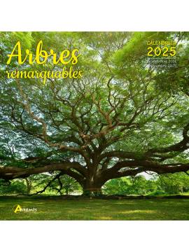 CALENDRIER ARBRES REMARQUABLES 2025