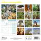 CALENDRIER ARBRES REMARQUABLES 2025