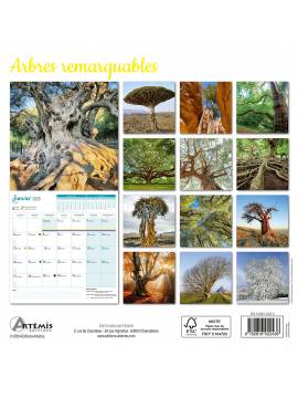 CALENDRIER ARBRES REMARQUABLES 2025