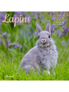 CALENDRIER LAPINS 2025