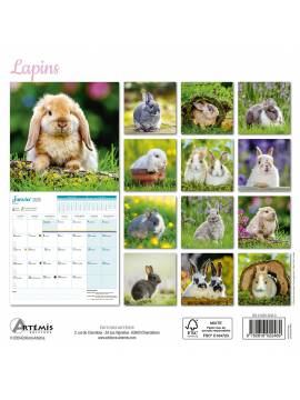 CALENDRIER LAPINS 2025