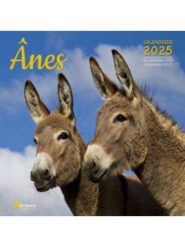 CALENDRIER ANES 2025