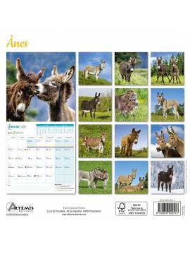 CALENDRIER ANES 2025