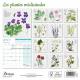 CALENDRIER LES PLANTES MEDICINALES 2025