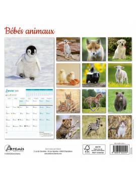 CALENDRIER BEBES ANIMAUX 2025