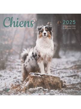 CALENDRIER CHIENS 2025