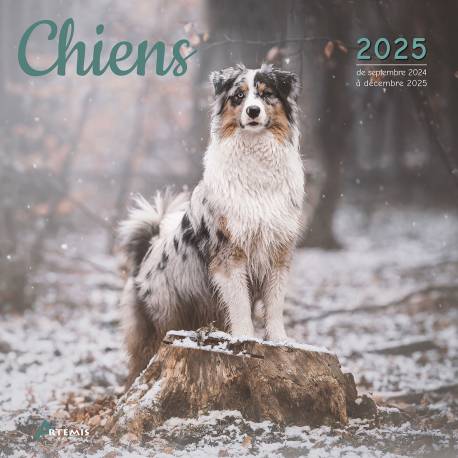 CALENDRIER CHIENS 2025