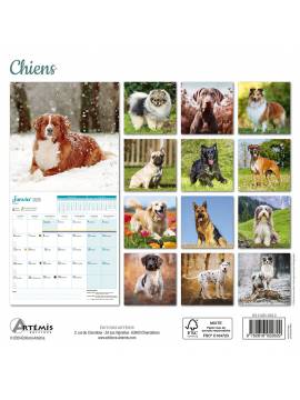 CALENDRIER CHIENS 2025