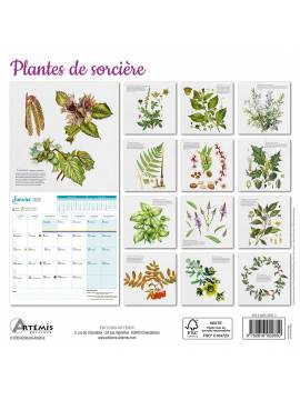 CALENDRIER PLANTES DE SORCIERE 2025