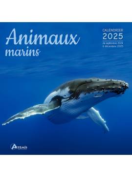 CALENDRIER ANIMAUX MARINS 2025