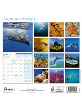 CALENDRIER ANIMAUX MARINS 2025