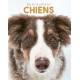 EPERDUMENT CHIENS