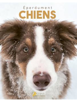 EPERDUMENT CHIENS