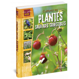 CULTIVEZ LES PLANTES SAUVAGES COMESTIBLES