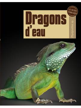 DRAGONS D'EAU