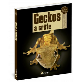 GECKOS A CRETE