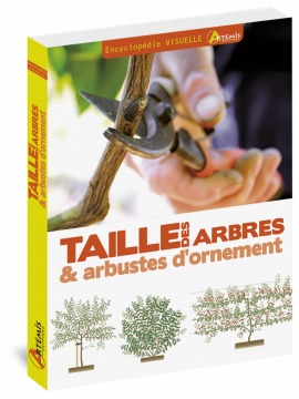 ENCYCLOPEDIE VISUELLE TAILLE DES ARBRES ET DES ARBUSTES D'ORNEMENT