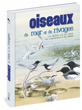 OISEAUX DE MER ET DE RIVAGES