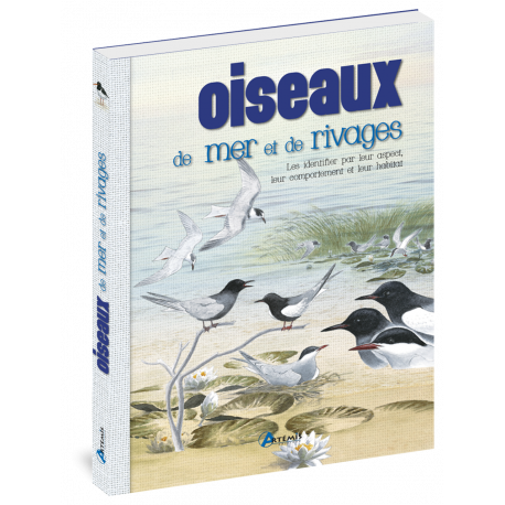 OISEAUX DE MER ET DE RIVAGES