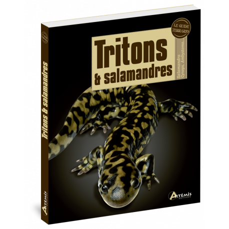 TRITONS ET SALAMANDRES