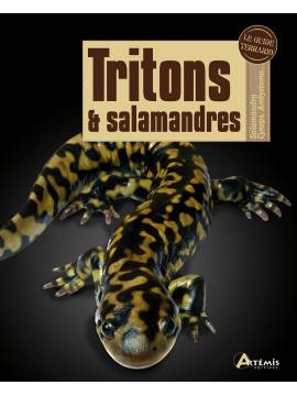 TRITONS ET SALAMANDRES