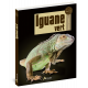 IGUANE VERT