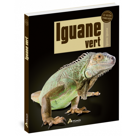 IGUANE VERT