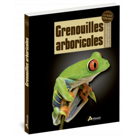 GRENOUILLES ARBORICOLES