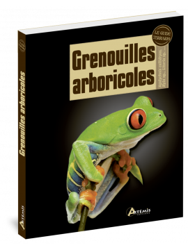 GRENOUILLES ARBORICOLES