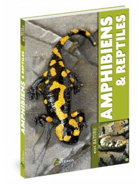 AMPHIBIENS & REPTILES