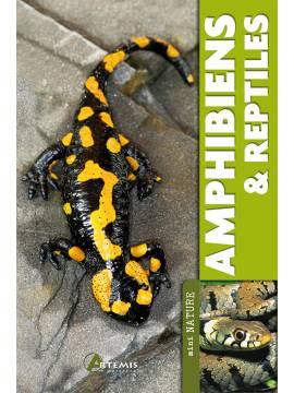 AMPHIBIENS & REPTILES