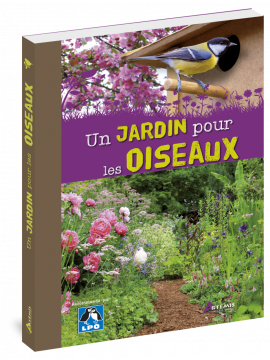 UN JARDIN POUR LES OISEAUX