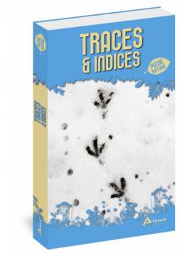 TRACES & INDICES