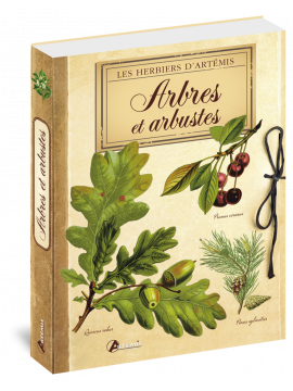 ARBRES ET ARBUSTES