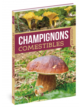 CHAMPIGNONS COMESTIBLES